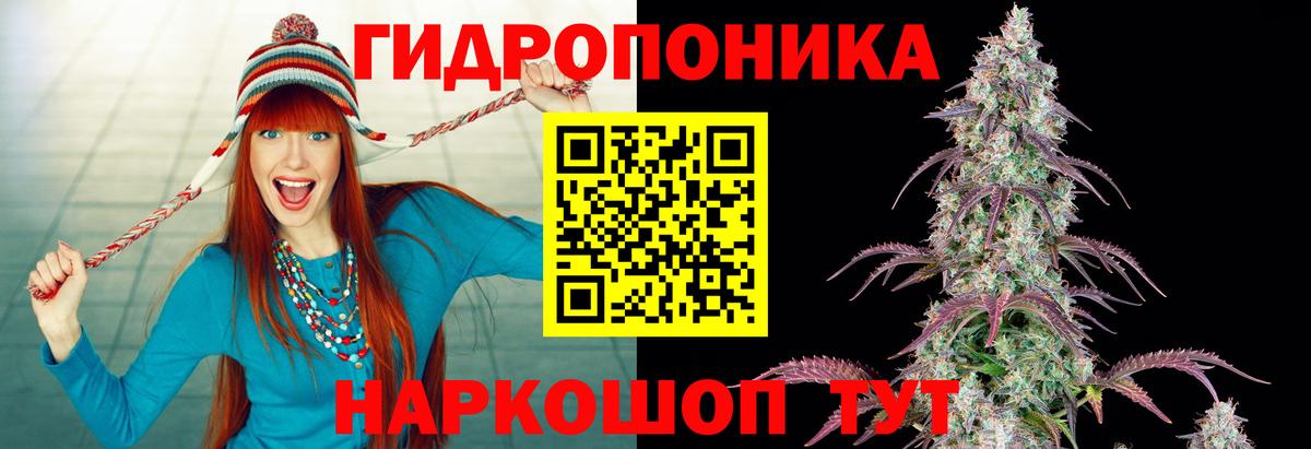Конопля Bruce Banner  Конопля гибрид  Марихуана SATIVA & INDICA  Вход с VPN  Марихуана марихуана  Геленджик 